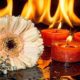 cremation services in Northeast Philadelphia, PA